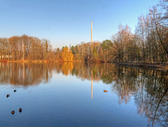 Kurzer Besuch im Stadpark