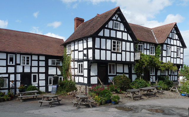 Pembridge- The New Inn