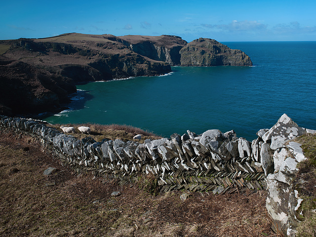 Cornwall - Bossiney