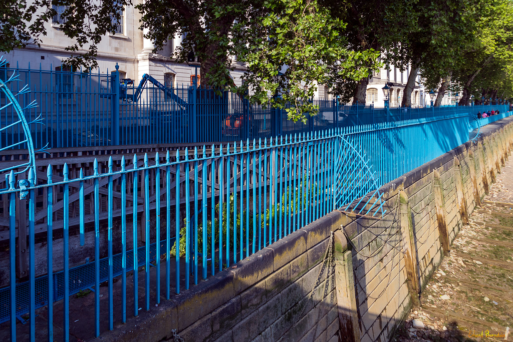 HbFF (Happy blue Fence Friday)!