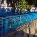 HbFF (Happy blue Fence Friday)!