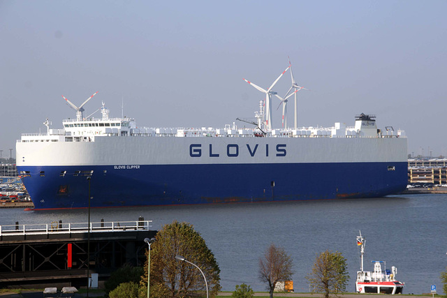 GLOVIS CLIPPER