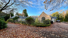 Autumn Leaves