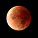 IMG 3626 SupermoonEclipse crop dpp