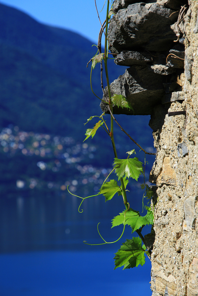 Tessin - Ticino pur!!!! (© Pipo63)