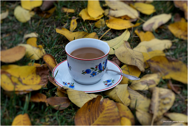 autumn coffee...