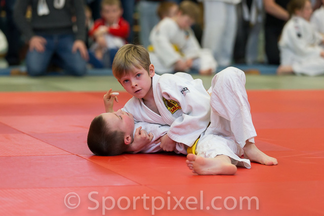 pokal2016judo-0212 25758146115 o pokal2016judo-0212 25758146115 o
