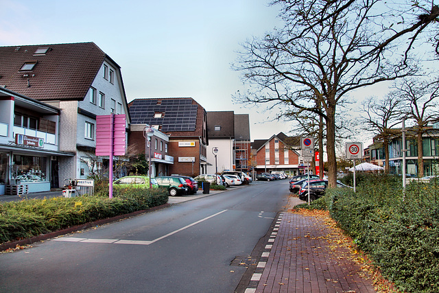 Im Osterfeld (Voerde) / 19.11.2022