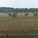 Panorama der 200 Strohballen