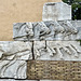 Rome 2025 – Capitoline Museums – Horses