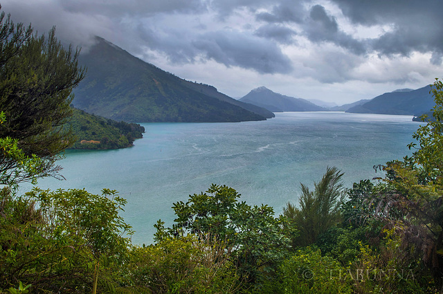 Marlborough Sounds