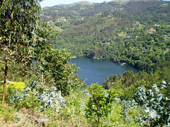View over Cávado River.