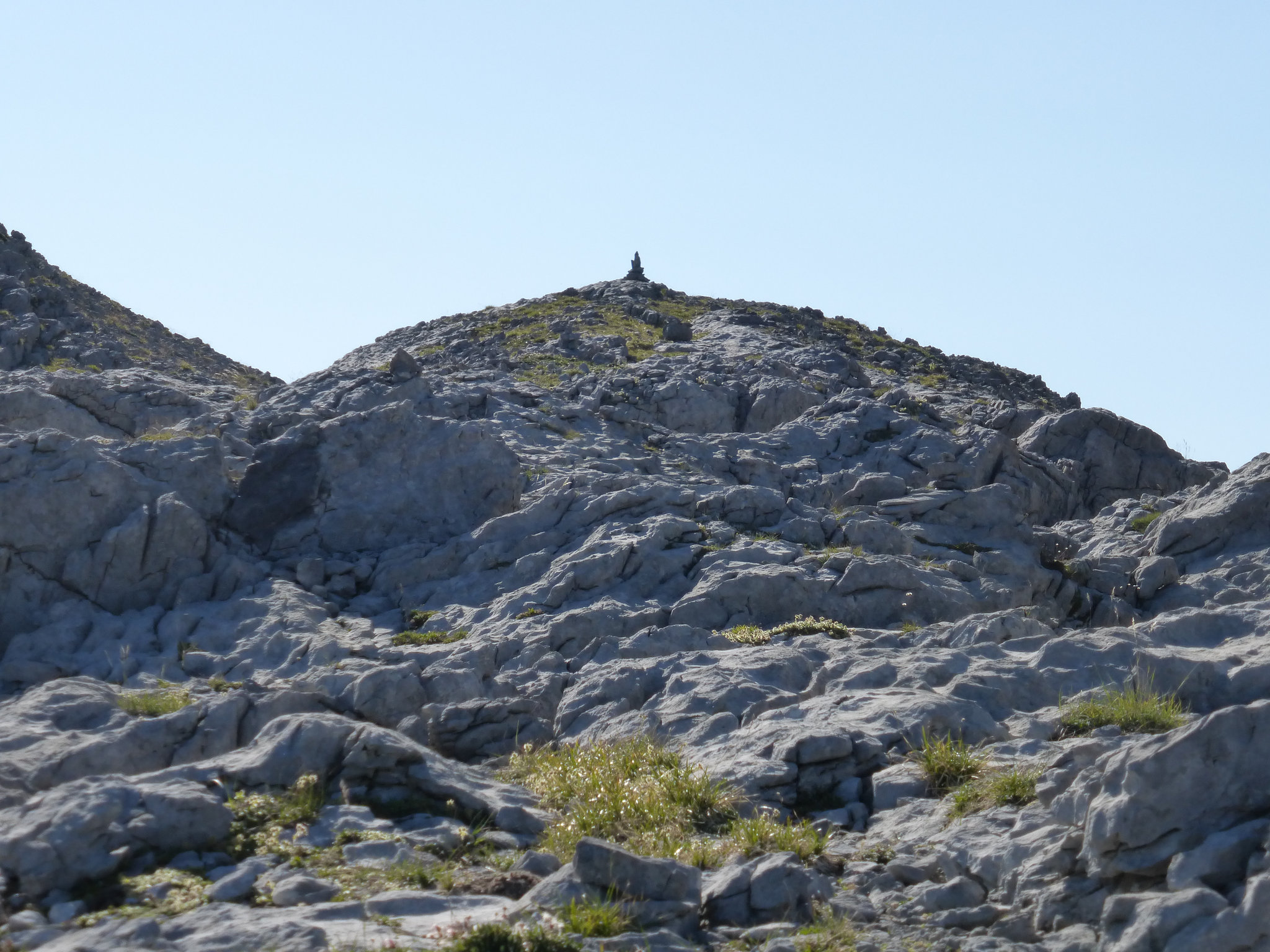 P1000649