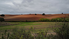 Moura, Landscape