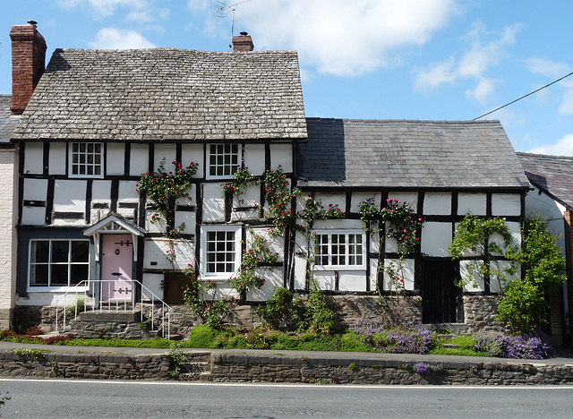 Pembridge- Black and White Architecture