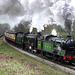 Class N.2 1744 and 30926 REPTON at Esk Valley Viaduct NYMR 1st May 2010