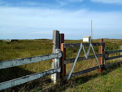 The M gate