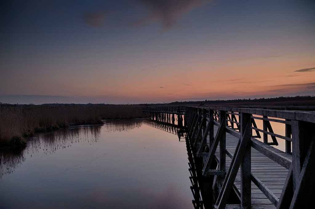 Blaue Stunde am Federsee