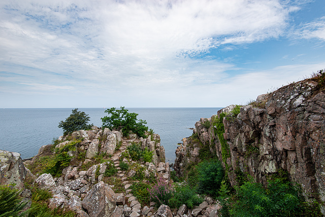 20210813- DSC7447