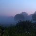 Morgendämmerung im Nebel