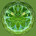 Green circle
