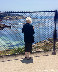 Guess Who?  Seal Beach, 17 Mile Drive, Pebble Beach, California