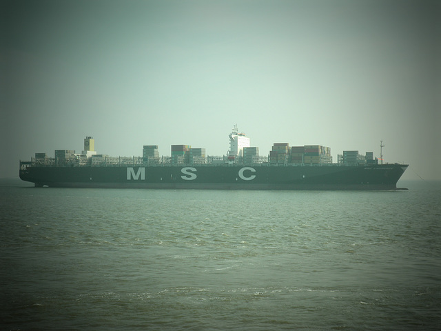 Containerschiff  MSC Laurence