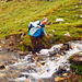 Hautes Pyrénées -juin 2015 (3)