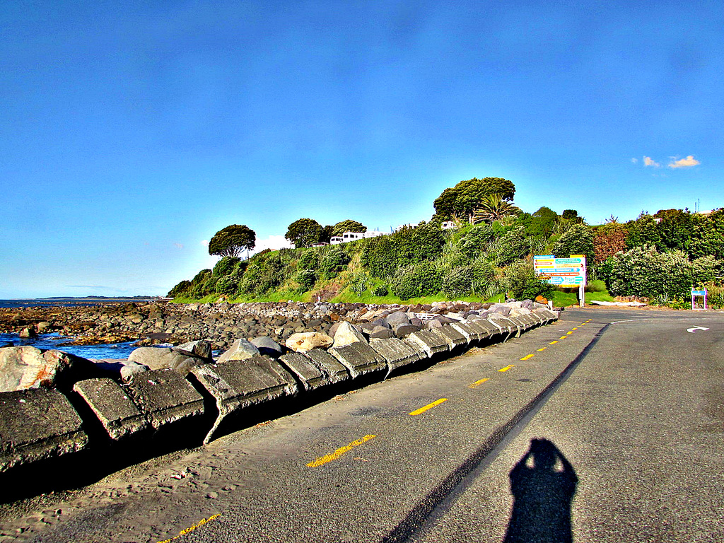 New Plymouth Wharf.