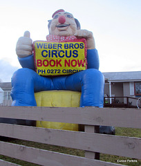 Weber Bros Circus Billboard