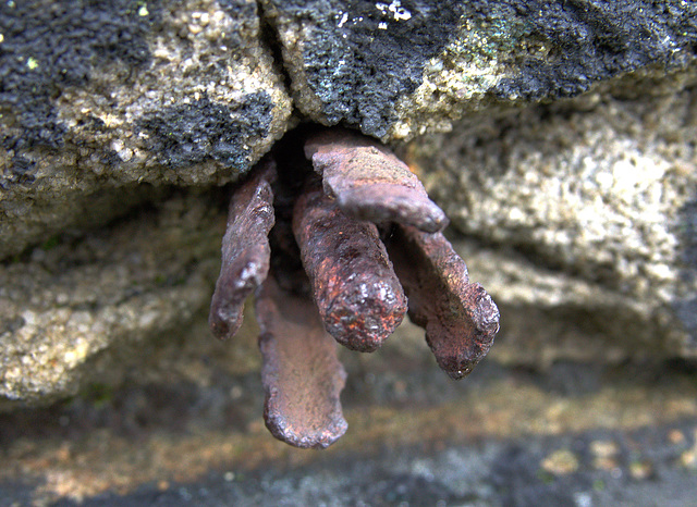 It's In The Wall 5