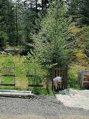 Der Zaun in Bowen Island