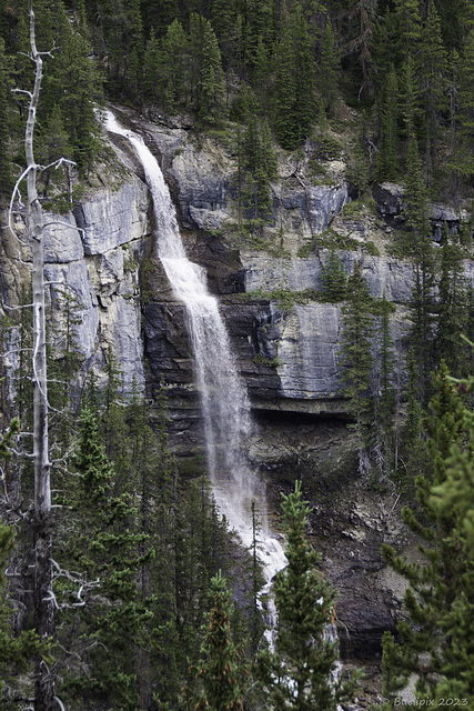 the 'Bridal Veil Falls' vom  'Icefields Parkway' aus gesehen (© Bulipix)