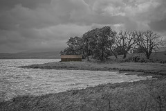 The Red Shed