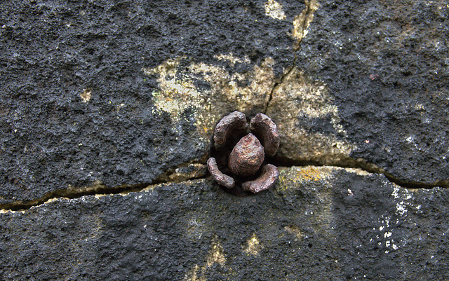 It's In The Wall 4