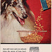 Ken-L Biskit Dog Food Ad, 1961
