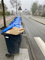 Bin day