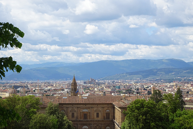 View Over Florence