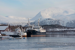 Port au fond du fjord