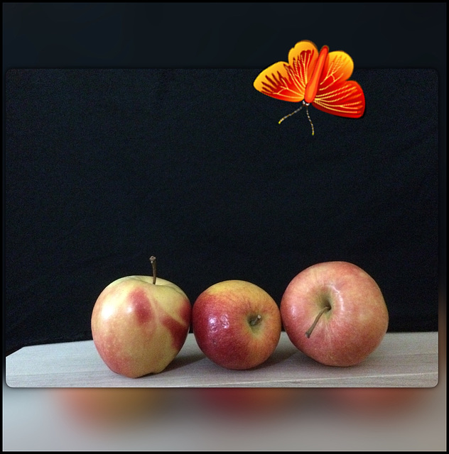 Three apples and a lady butterfly