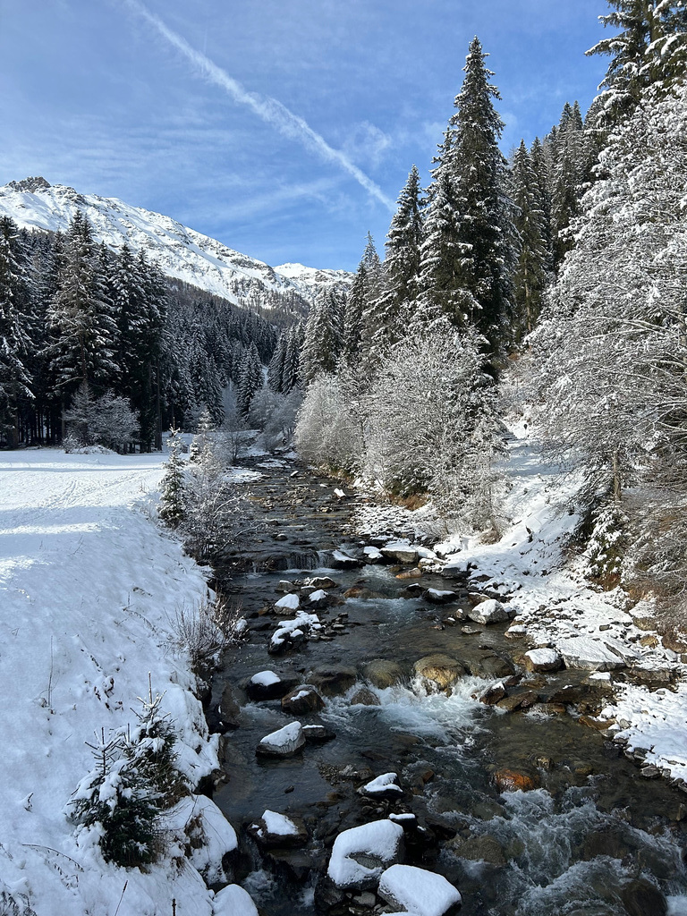 Torrente Rabbies.