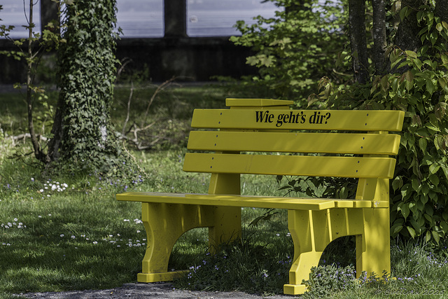 HBM ... with a bench at a lake pavilion on Lake Constance ... P.i.P. (© Buelipix)