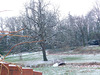 Hiver au parc *****Cette nuit il a neigé***********