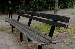 Bench