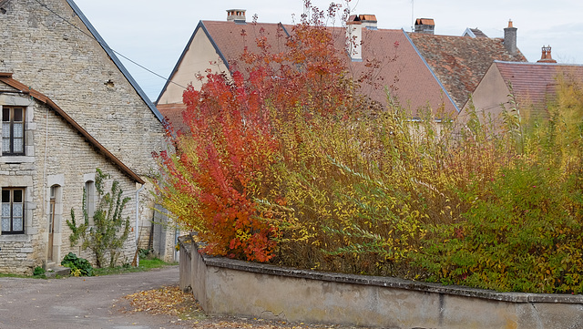 Gy: Place de l'église: Couleurs d'automne.