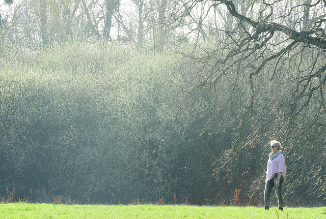 Lady  on the Field