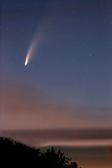 Comet Neowise (C/2020 F3) (view on black)