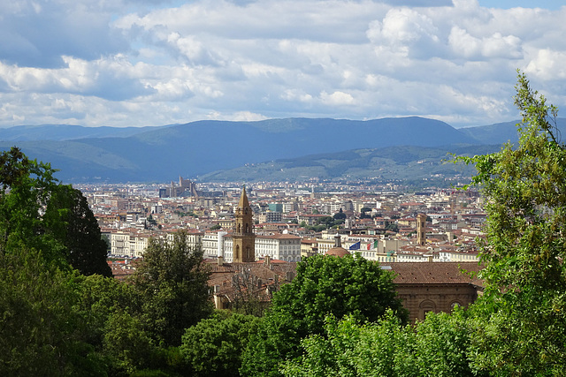 View Over Florence