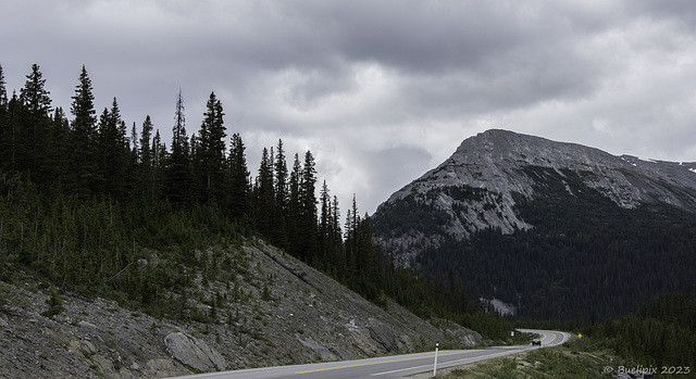 der Icefields Parkway kurz vor dem Sunwapta Pass (© Buelipix)