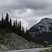 der Icefields Parkway kurz vor dem Sunwapta Pass (© Buelipix)